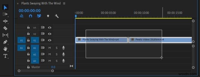 Hướng dẫn Adobe Premiere cho người mới bắt đầu 