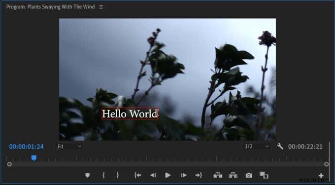 Hướng dẫn Adobe Premiere cho người mới bắt đầu 