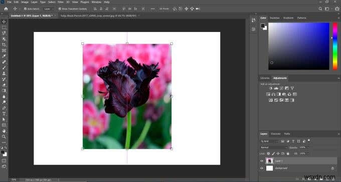 Cách tạo lông và làm mờ trong Photoshop 