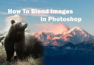 Cách pha trộn trong Photoshop 