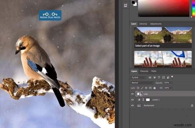 Cách thay đổi kích thước, kết hợp và hợp nhất các lớp trong Photoshop 