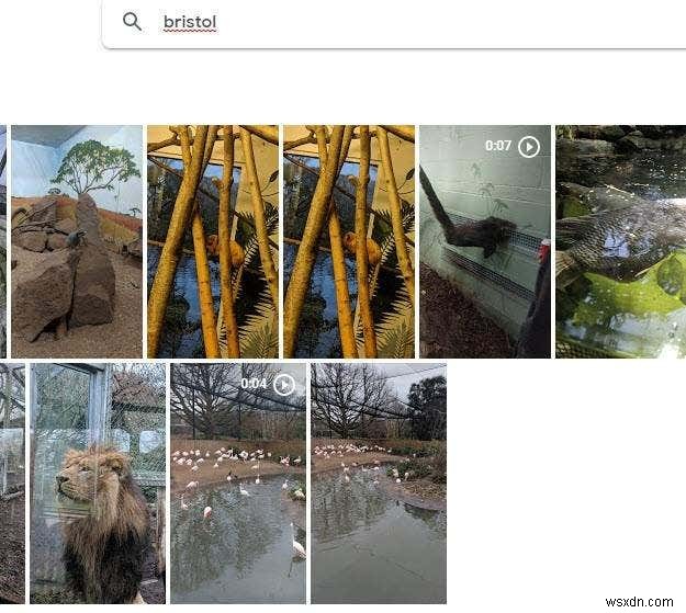 Cách sử dụng các công cụ tìm kiếm ảnh mạnh mẽ có sẵn trên Google Photos 