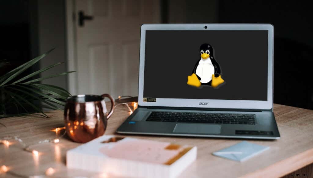 Cách cài đặt phân phối Linux trên Chromebook của bạn 