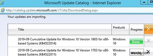 Làm thế nào để Nhập (Thêm) Cập nhật theo cách thủ công vào WSUS từ Danh mục Microsoft Update? 