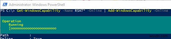 Cài đặt Công cụ quản trị RSAT trên Windows 10 và 11 