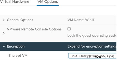 Cách cài đặt Windows 11 trên Máy ảo VMware? 