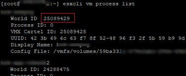 VMware ESXi:Cách diệt máy ảo không phản hồi (bị mắc kẹt) 