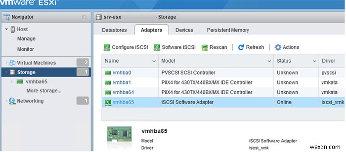 Cấu hình kho dữ liệu iSCSI (LUN) trên VMware ESXi 