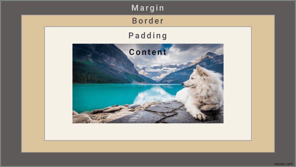 CSS Padding so với Margin:Cách phân biệt sự khác biệt 