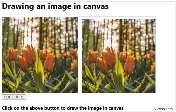 Vẽ một hình ảnh trong canvas bằng JavaScript 