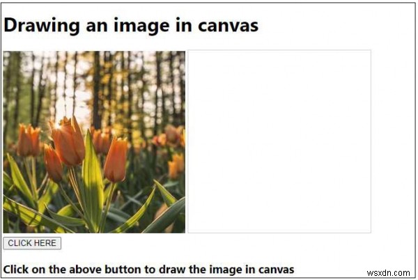 Vẽ một hình ảnh trong canvas bằng JavaScript 