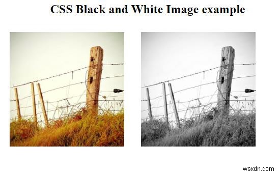 Làm thế nào để tạo một hình ảnh đen trắng với CSS? 