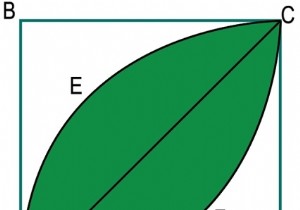 Diện tích chiếc lá bên trong hình vuông? 