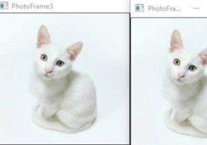 Mảng ảnh (Image Array) là gì? Giải thích với ví dụ C++