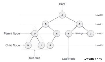 Đếm các nút đầy đủ trong cây nhị phân (Lặp lại và Đệ quy) trong C ++ 