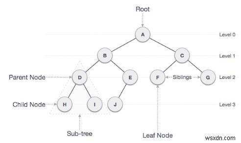 Đếm các nút không phải là lá trong cây nhị phân trong C ++ 