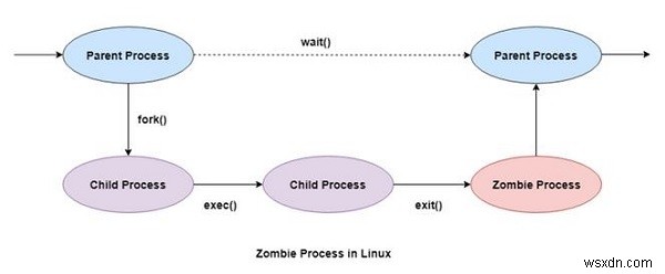Quá trình xác sống và trẻ mồ côi trong Linux 