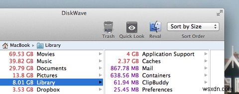 Xóa các tệp lớn không mong muốn với DiskWave cho Mac 