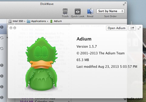 Xóa các tệp lớn không mong muốn với DiskWave cho Mac 