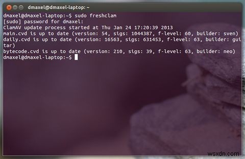 Kiểm soát quét vi rút từ dòng lệnh với Clam Antivirus [Linux] 
