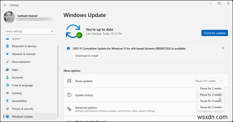 Cách dừng cập nhật tự động trên Windows 11 