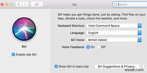 Cách tắt Siri trên iPhone, iPad, Mac hoặc Apple Watch 