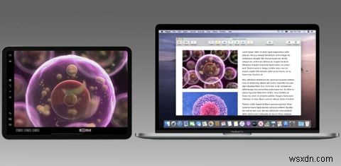 Cách sử dụng iPad của bạn làm màn hình Mac thứ hai với Sidecar 