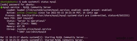 Cách cài đặt và cấu hình MySQL trên Ubuntu 