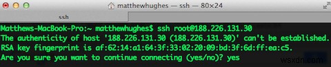 Đã đăng ký lưu trữ web chỉ SSH? Đừng lo lắng - Dễ dàng cài đặt bất kỳ phần mềm web nào 