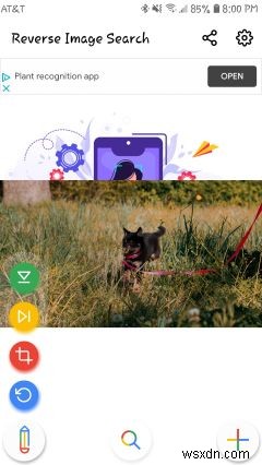 10 ứng dụng tìm kiếm hình ảnh ngược tốt nhất cho iPhone và Android 