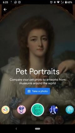 Tìm thú cưng của bạn trong các tác phẩm nghệ thuật nổi tiếng với ứng dụng Văn hóa &Nghệ thuật của Google
