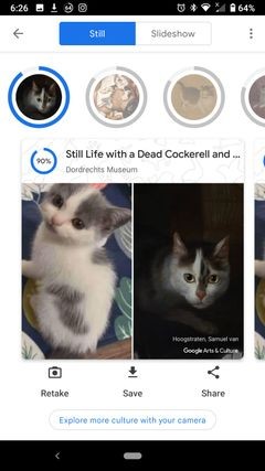 Tìm thú cưng của bạn trong các tác phẩm nghệ thuật nổi tiếng với ứng dụng Văn hóa &Nghệ thuật của Google