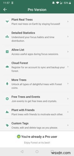 Có đáng để nâng cấp lên phiên bản Pro của Forest dành cho Android không? 
