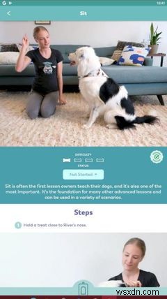 5 ứng dụng huấn luyện chó tốt nhất dành cho Android và iPhone 