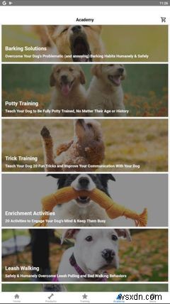 5 ứng dụng huấn luyện chó tốt nhất dành cho Android và iPhone 