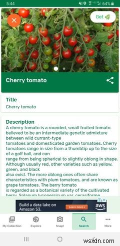 7 ứng dụng làm vườn hữu ích cho Android và iPhone 
