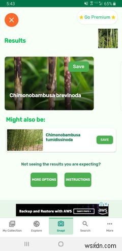 7 ứng dụng làm vườn hữu ích cho Android và iPhone 