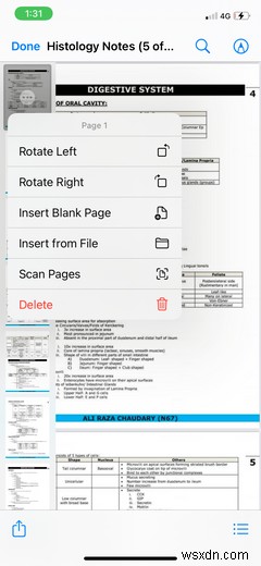 Đây là cách lưu và chỉnh sửa ảnh dưới dạng PDF trên iPhone hoặc iPad của bạn 