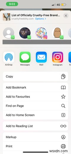 Safari:Hướng dẫn dành cho người mới bắt đầu dành cho người dùng iPhone hoặc iPad 