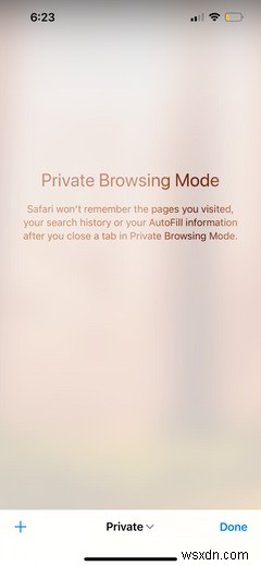 Safari:Hướng dẫn dành cho người mới bắt đầu dành cho người dùng iPhone hoặc iPad 