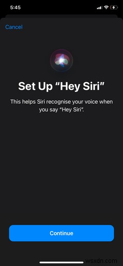 Hướng dẫn cho người mới bắt đầu để thiết lập và sử dụng Siri 
