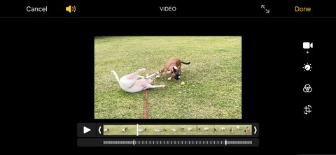 Cách ghi và chỉnh sửa video Slo-Mo trên iPhone của bạn 