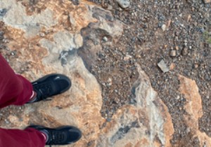 Cách điều chỉnh ngày, giờ và vị trí ảnh của bạn trong iOS 15 