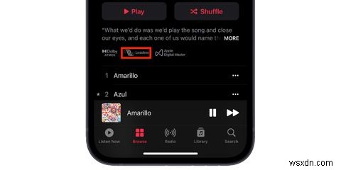 Cách nghe âm thanh Lossless trên Apple Music 