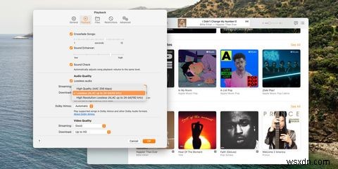 Cách nghe âm thanh Lossless trên Apple Music 