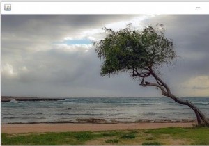 Làm thế nào để hiển thị đối tượng OpenCV Mat bằng Swings? 