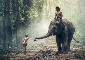 Làm thế nào để triển khai làm mờ Gaussian trong OpenCV bằng Java? 