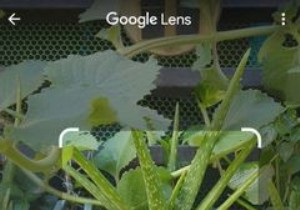 5 lý do tại sao lại thích thú với Google Lens trên Chrome 