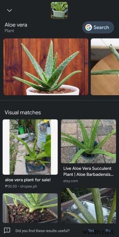 5 lý do tại sao lại thích thú với Google Lens trên Chrome 