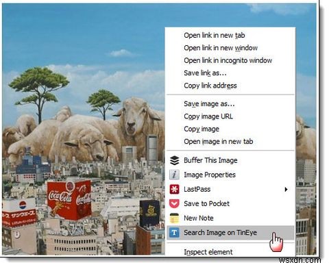 Xem Thêm Một số Công dụng của Tìm kiếm Hình ảnh Đảo ngược Sử dụng TinEye [Chrome] 